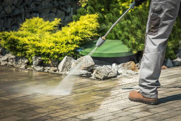 Reliable Roanoke, AL  Pressure Washing Services Solutions