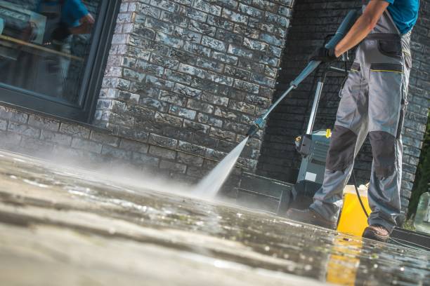 Best Building Exterior Washing  in Roanoke, AL