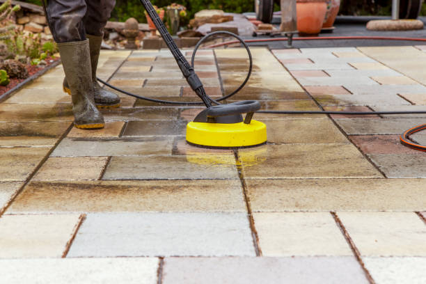 Best Sidewalk and Walkway Cleaning  in Roanoke, AL