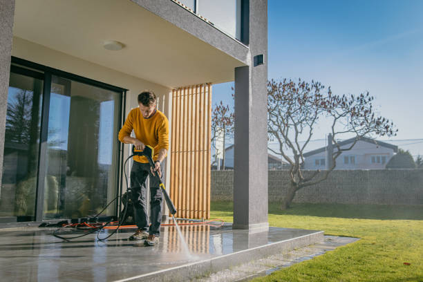 Best Patio and Deck Pressure Washing  in Roanoke, AL